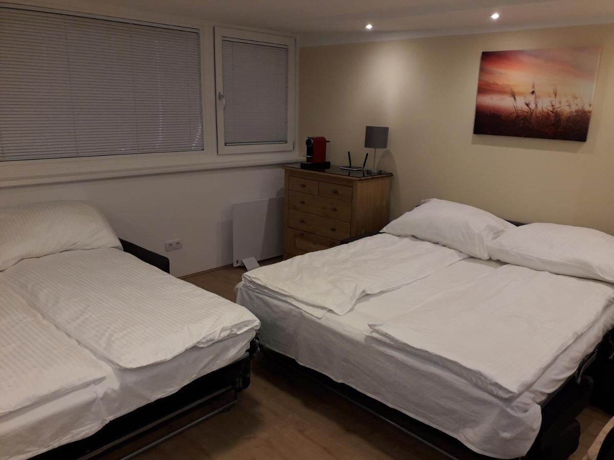 ウィーンCosy Flat In The Quiet Area With Own Garden, Free Parking And Direct Public Transport Link To The Centreアパートメント エクステリア 写真