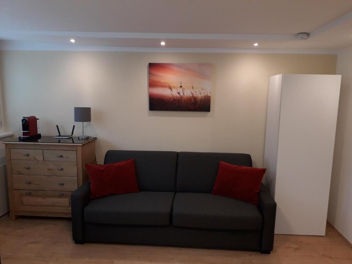 ウィーンCosy Flat In The Quiet Area With Own Garden, Free Parking And Direct Public Transport Link To The Centreアパートメント エクステリア 写真